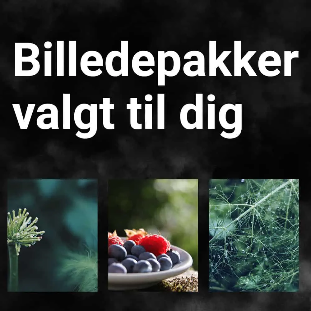 Tine Appel sælger billedepakker, særlig valgt til dig